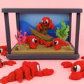 Flexi lobsters and their aquarium